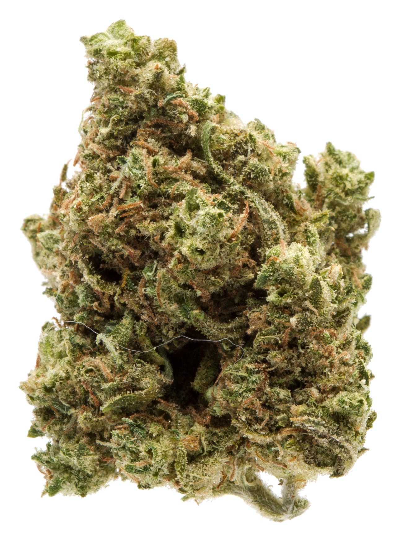 Blue Cheese